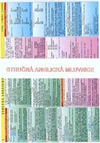 Stručná anglická mluvnice - TABULKA 2xA4  / DOPRODEJ